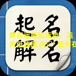 算财运能知运势，运势低迷原 🌺 因何在